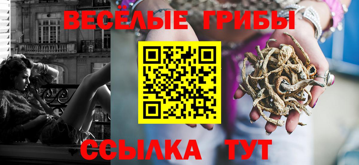 Советский  Галлюциногенные грибы GOLDEN TEACHER  Вход с VPN 